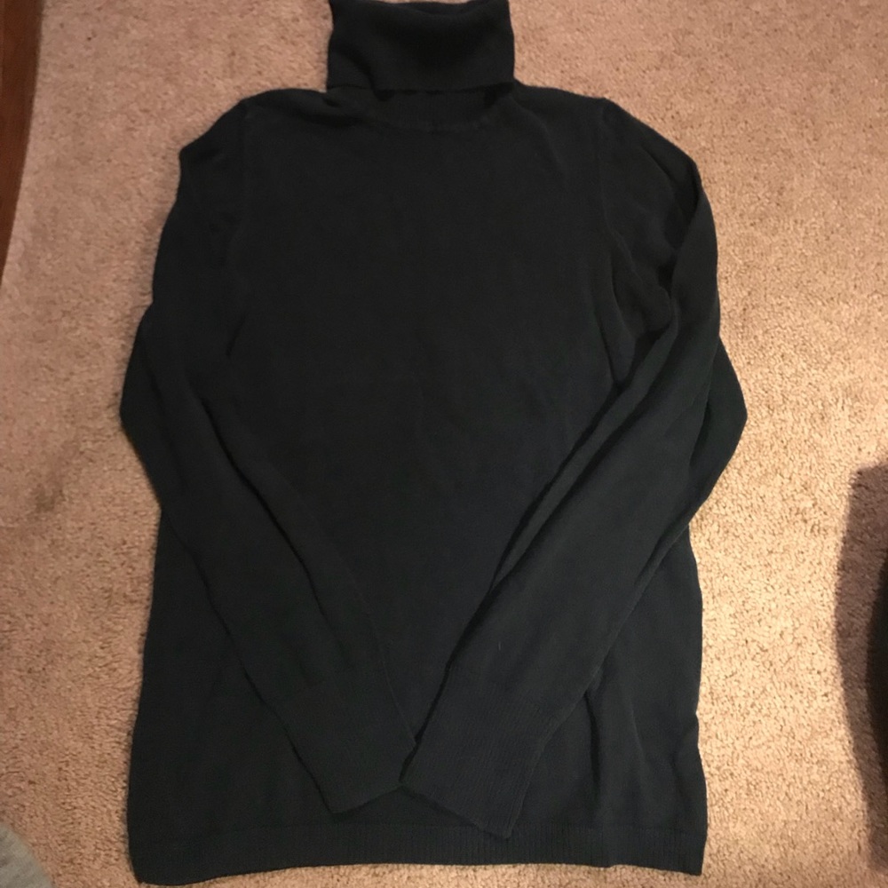 Two thin sweater turtlenecks